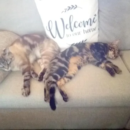 D'hotes Les Trois Rames